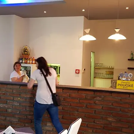 Hotel Lipnice